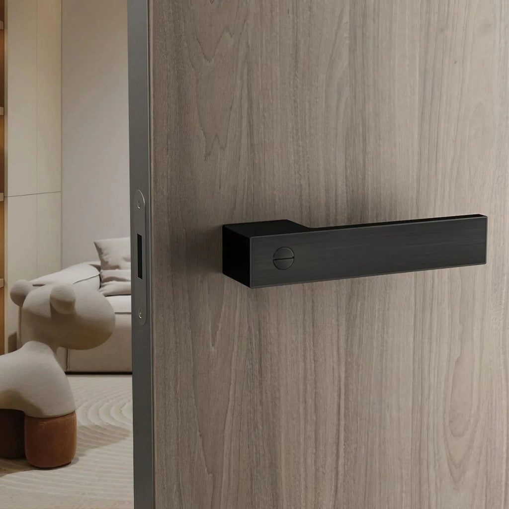 Minimalist Black Interior Door Handles with Lock