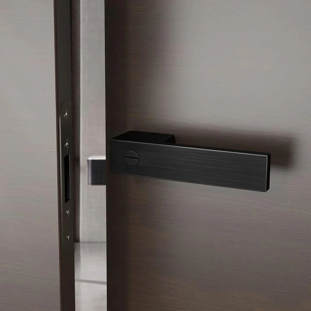 Minimalist Black Interior Door Handles with Lock