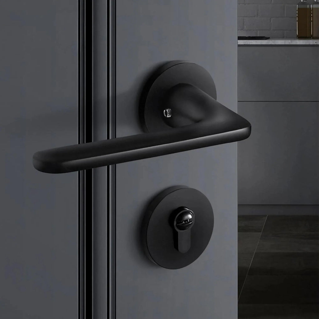 Matte Black Door Lever Handles with Keys