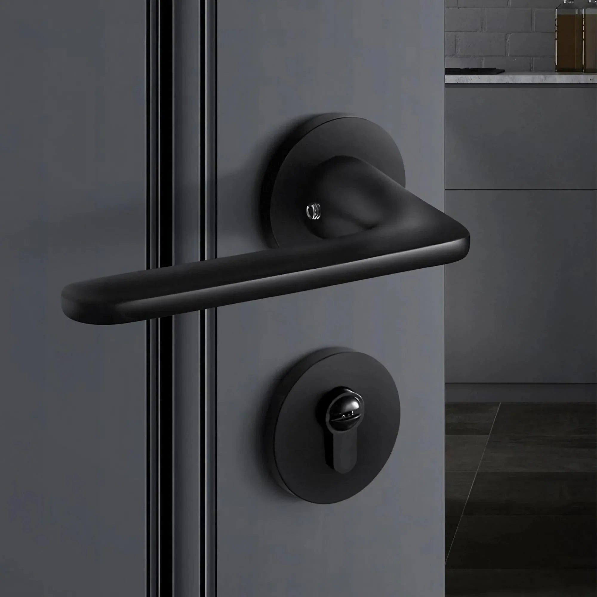 Matte Black Door Lever Handles with Keys