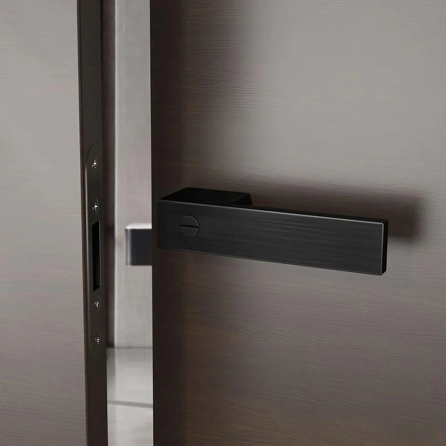 Door Handles
